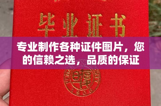 澄迈专业制作各种证件图片，您的信赖之选，品质的保证