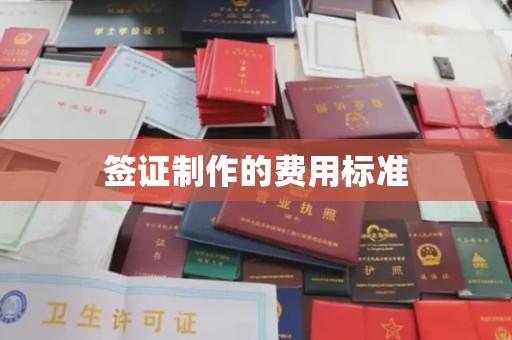 澄迈签证制作的费用标准